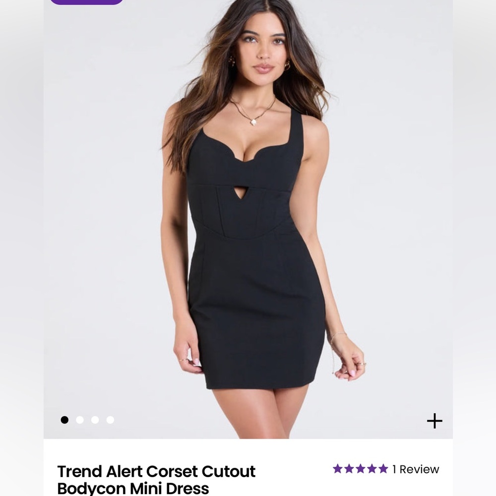 NWT | Windsor Dress